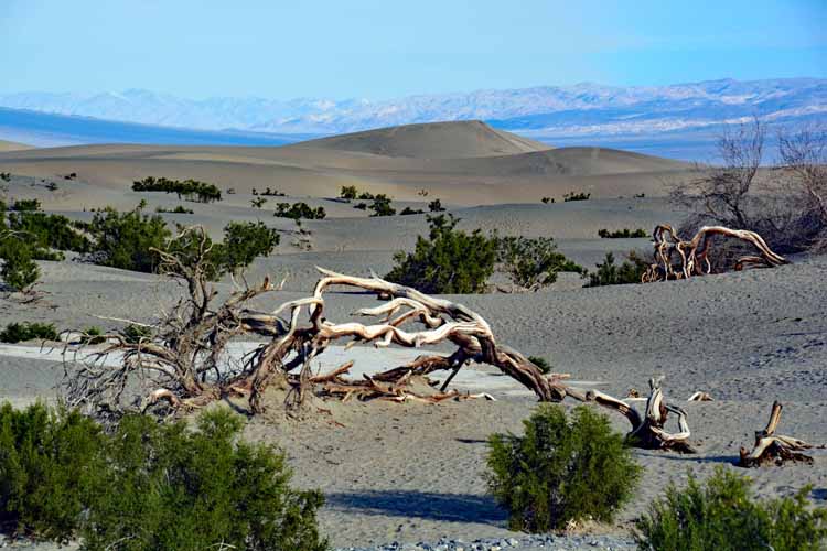 sand dunes